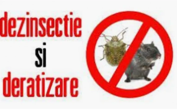 Dezinsectie - Deratizare